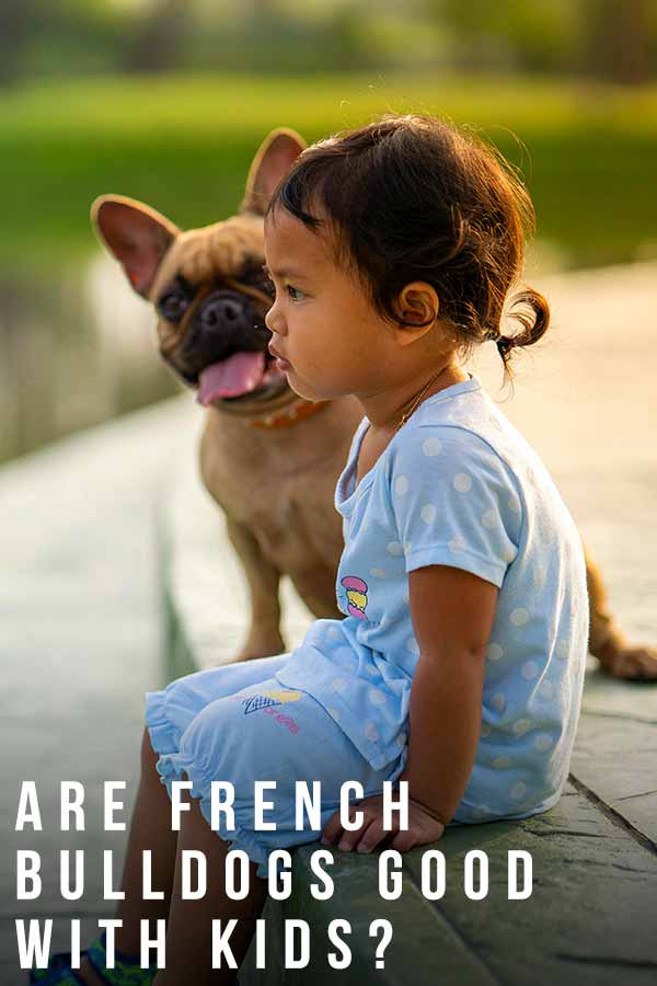 Are French Bulldogs Good With Kids Or Can They Be Aggressive?