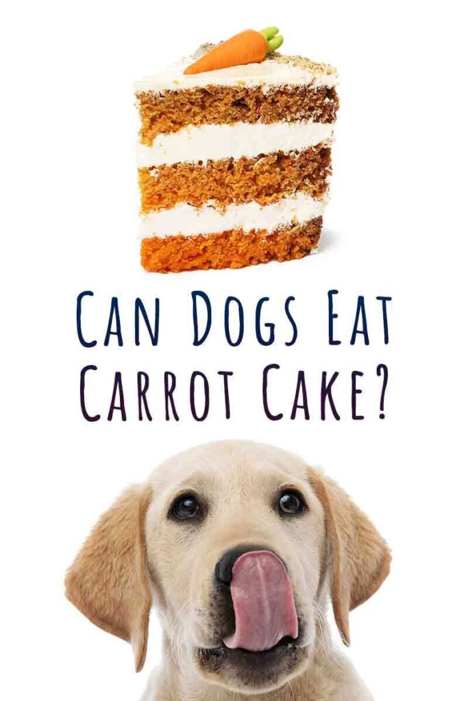 can dogs eat carrot cake