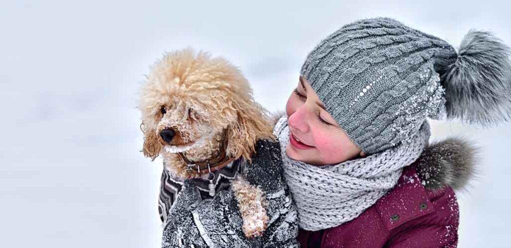 are poodle puppies good around children