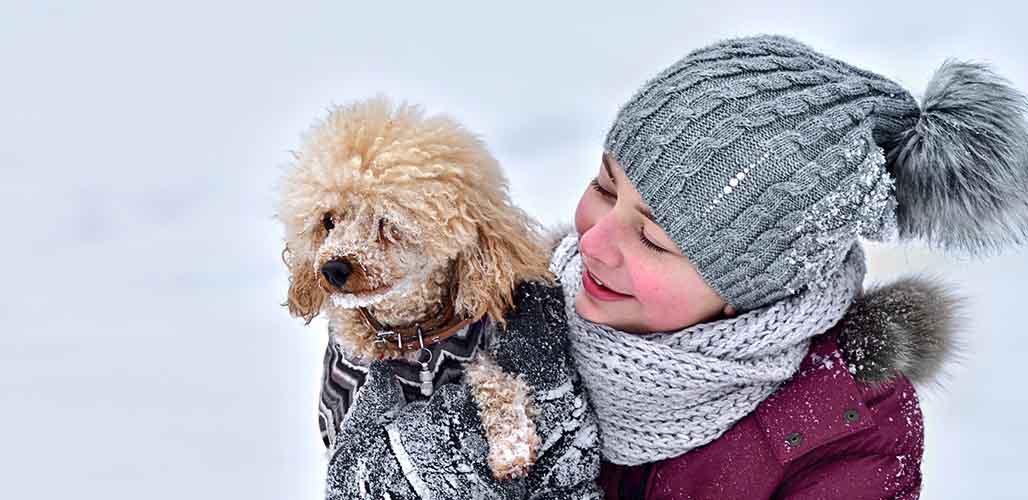 are toy poodles good with babies