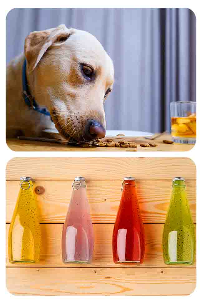 is-food-coloring-safe-for-dogs