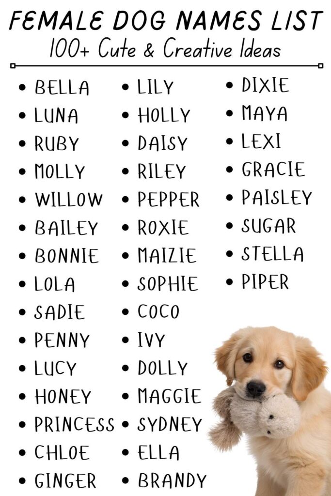 female dog names list