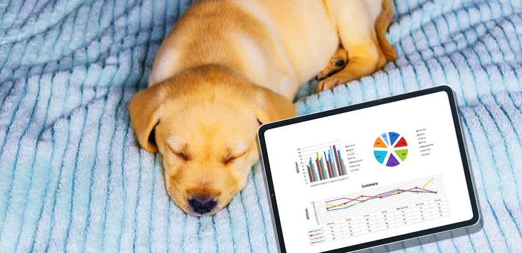 puppy sleep chart by age