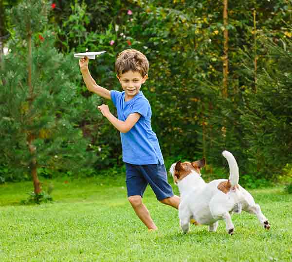 terrier puppy chasing a boy