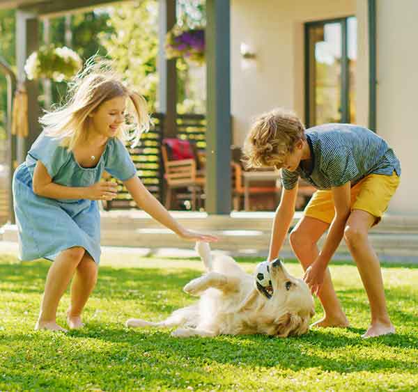 children playing with puppy